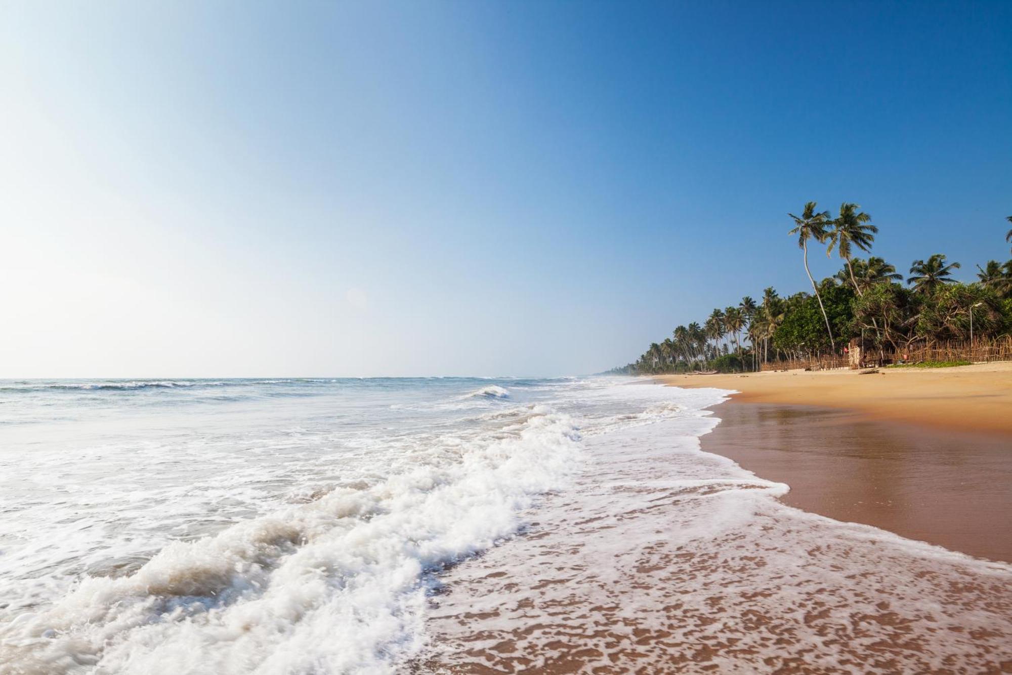 Siddhalepa Ayurveda Resort - All Meals, Ayurveda Treatment And Yoga Wadduwa Exteriör bild