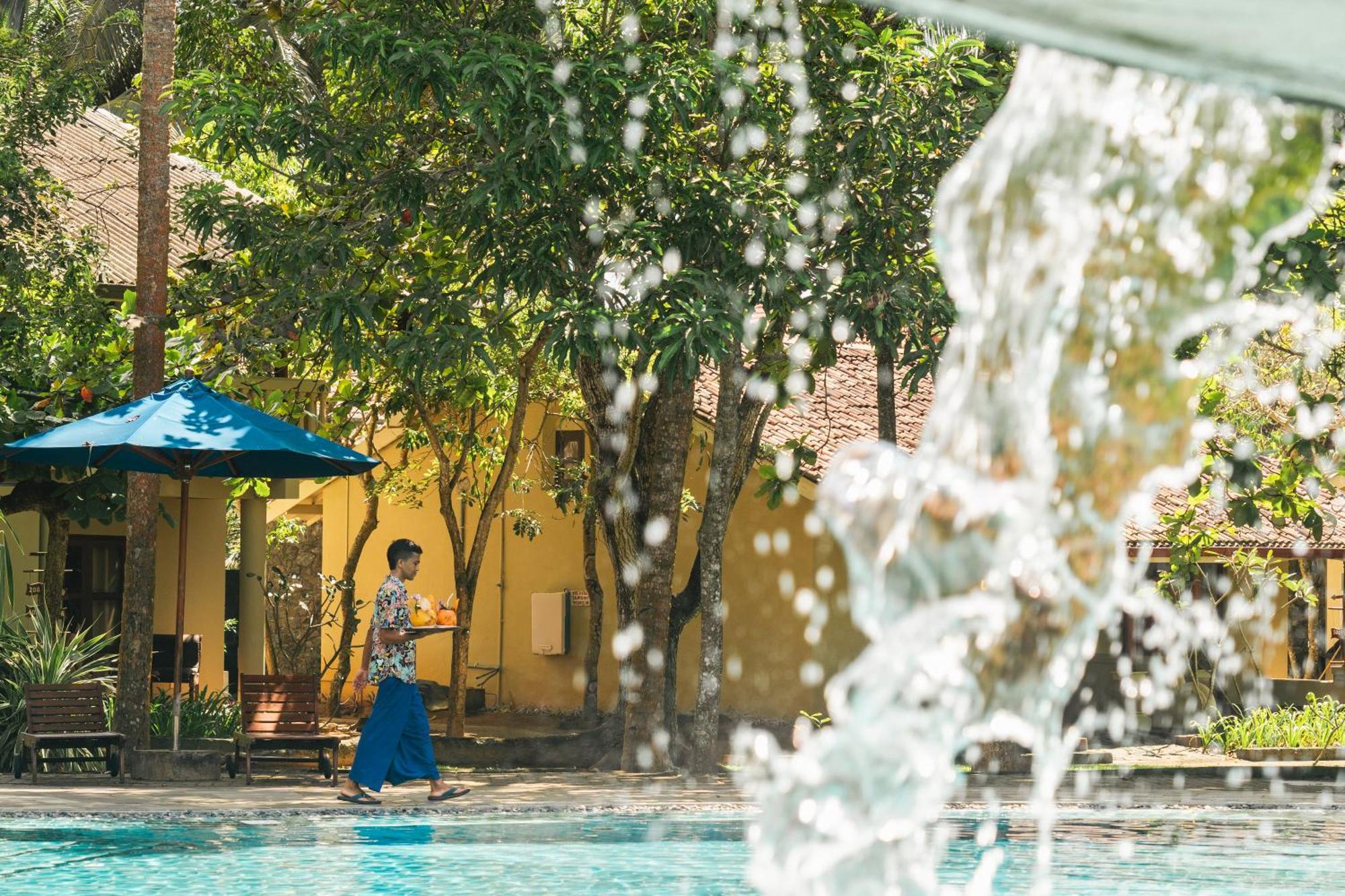 Siddhalepa Ayurveda Resort - All Meals, Ayurveda Treatment And Yoga Wadduwa Exteriör bild