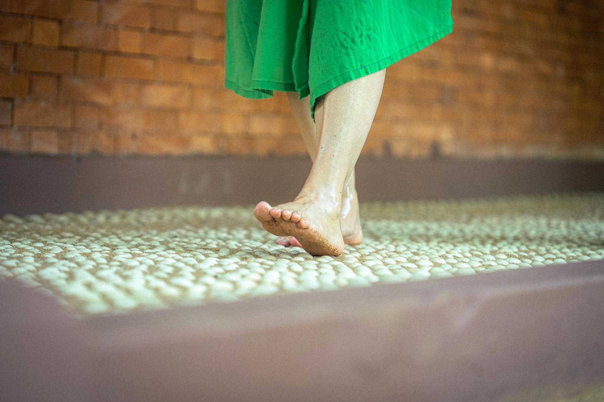 Siddhalepa Ayurveda Resort - All Meals, Ayurveda Treatment And Yoga Wadduwa Exteriör bild
