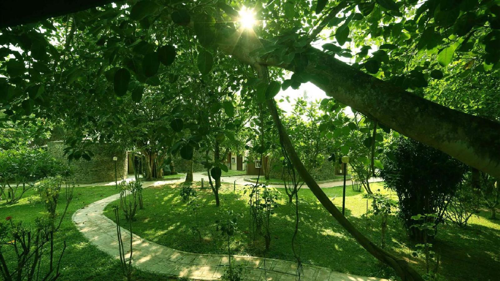 Siddhalepa Ayurveda Resort - All Meals, Ayurveda Treatment And Yoga Wadduwa Exteriör bild