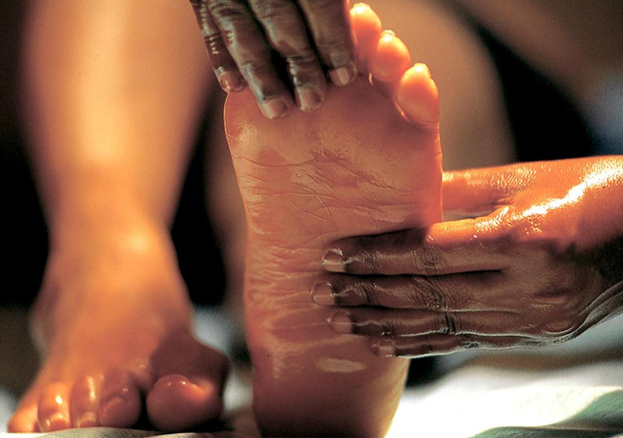 Siddhalepa Ayurveda Resort - All Meals, Ayurveda Treatment And Yoga Wadduwa Exteriör bild